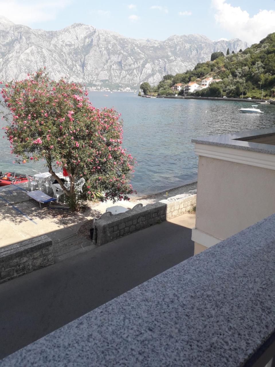 Apartmants Alexander Apartment Kotor Exterior foto